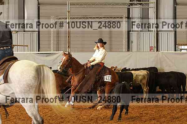 Proof 10usn_24880