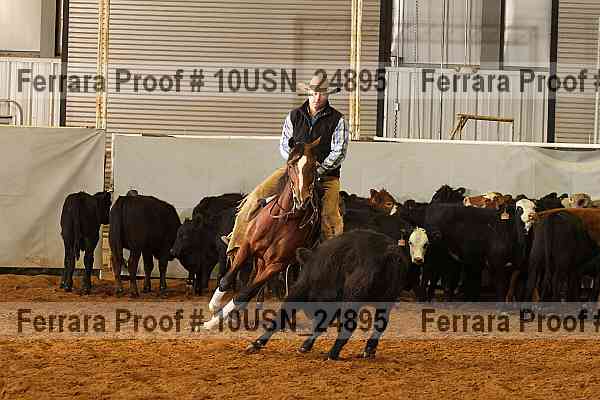 Proof 10usn_24895