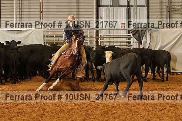 Proof 10usn_21767