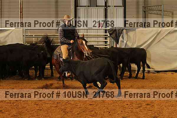 Proof 10usn_21768