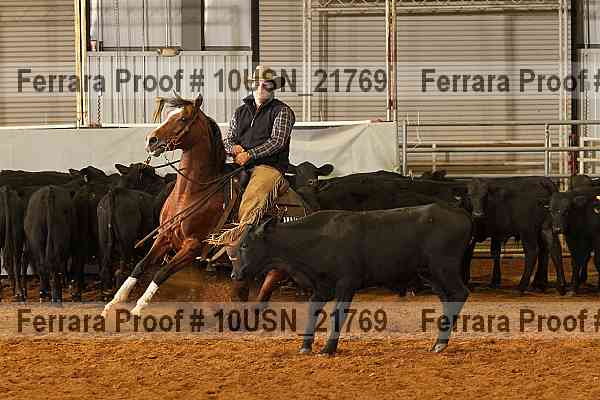 Proof 10usn_21769