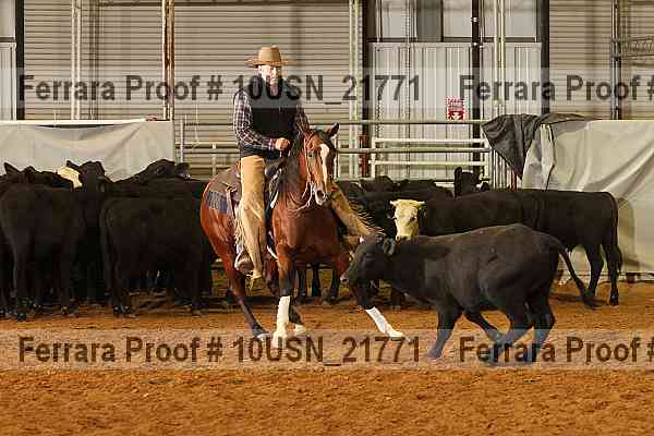 Proof 10usn_21771