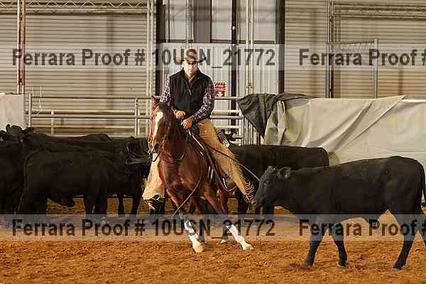 Proof 10usn_21772