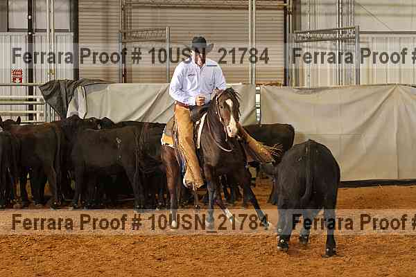 Proof 10usn_21784