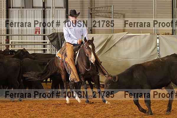 Proof 10usn_21785
