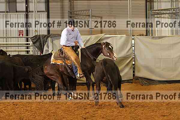 Proof 10usn_21786