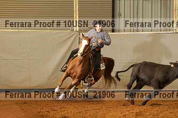 Proof 10usn_21906