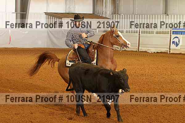 Proof 10usn_21907