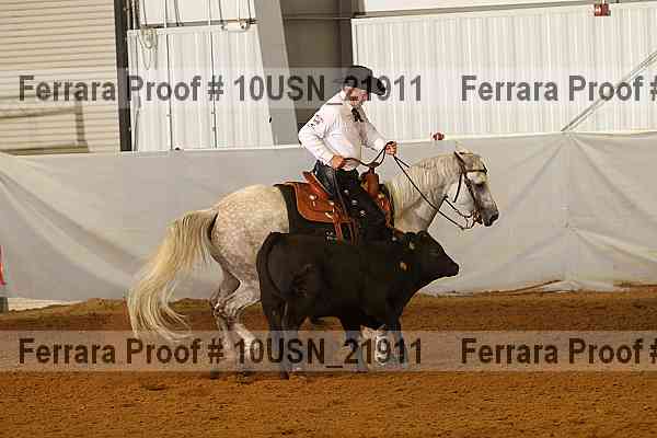 Proof 10usn_21911