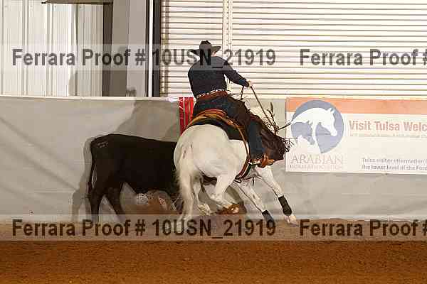 Proof 10usn_21919