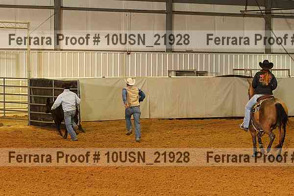 Proof 10usn_21928