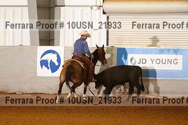Proof 10usn_21933