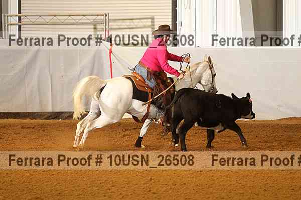 Proof 10usn_26508