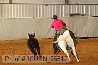 10usn_26512 proof
