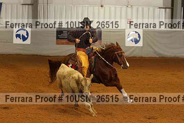 Proof 10usn_26515
