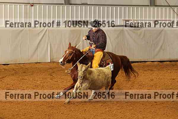 Proof 10usn_26516