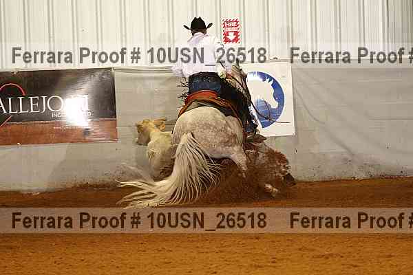 Proof 10usn_26518