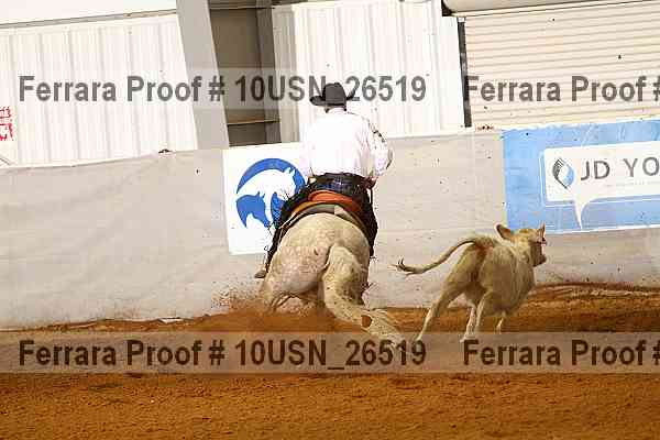 Proof 10usn_26519