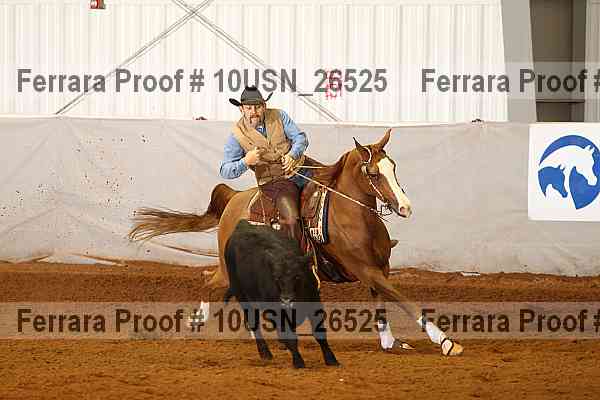 Proof 10usn_26525