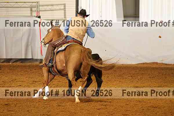 Proof 10usn_26526