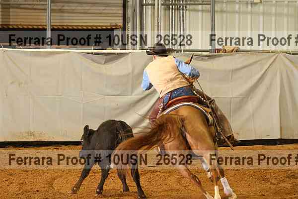Proof 10usn_26528