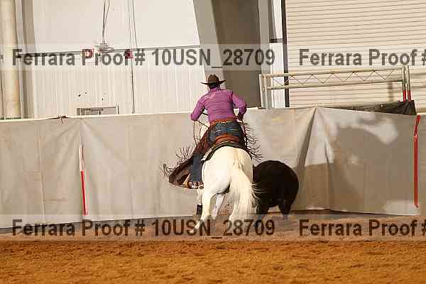 Proof 10usn_28709