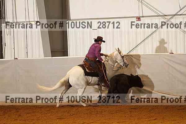 Proof 10usn_28712