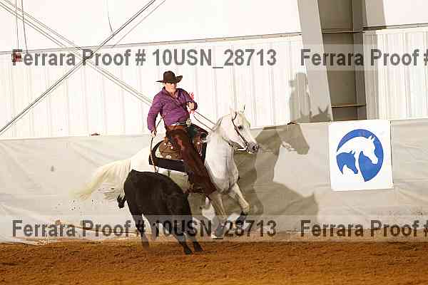 Proof 10usn_28713