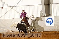 10usn_28713 proof
