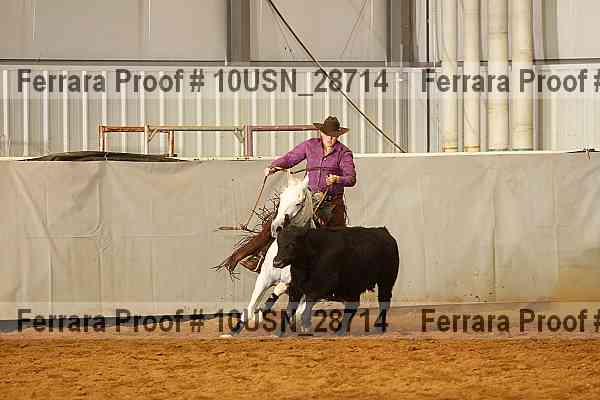 Proof 10usn_28714