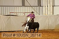 10usn_28714 proof