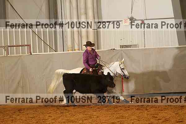 Proof 10usn_28719