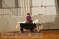 10usn_28719 proof