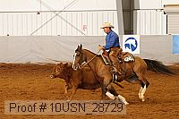 10usn_28729 proof