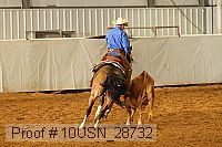 10usn_28732 proof