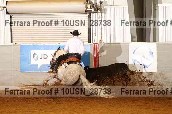 Proof 10usn_28738