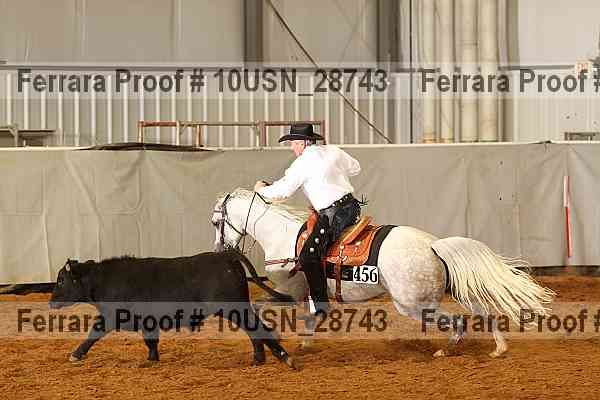 Proof 10usn_28743