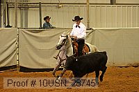 10usn_28745 proof