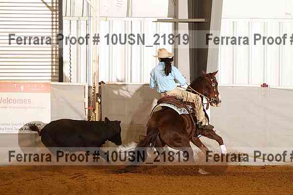 Proof 10usn_21819