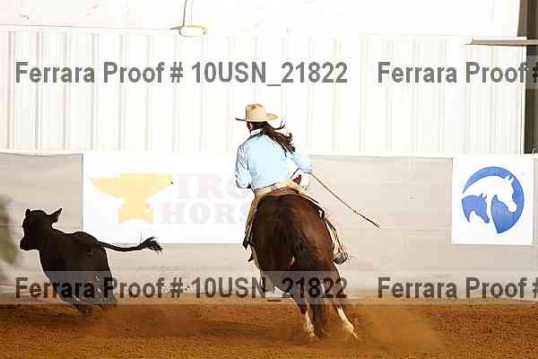 Proof 10usn_21822