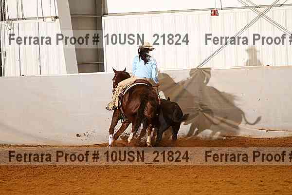 Proof 10usn_21824