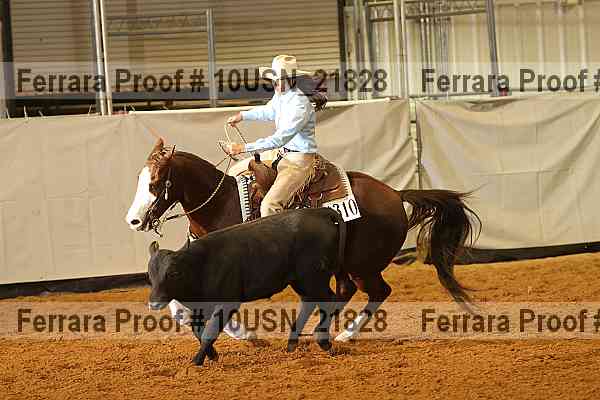 Proof 10usn_21828