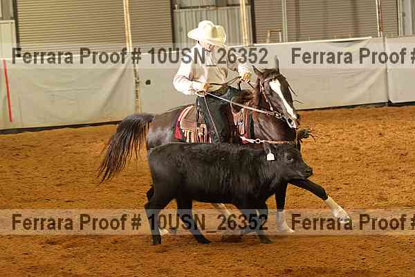 Proof 10usn_26352