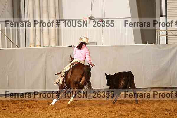 Proof 10usn_26355