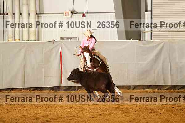 Proof 10usn_26356