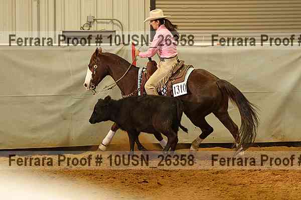 Proof 10usn_26358