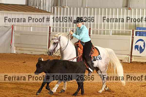 Proof 10usn_26366