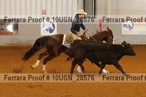 Proof 10usn_28576