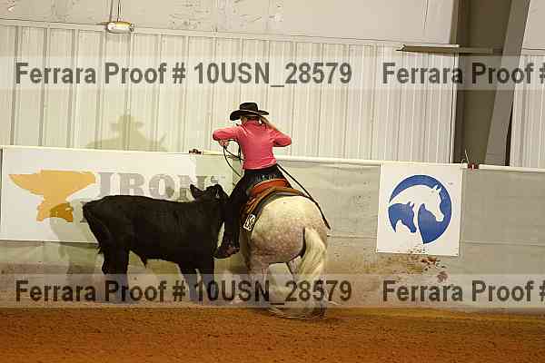 Proof 10usn_28579