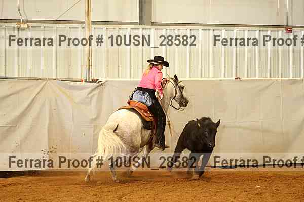 Proof 10usn_28582